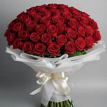 Букет 101 Красная роза Блэк Мэджик в Прокудском