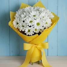 Букет цветов из:  Хризантемы в Прокудском