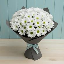 Букет цветов из:  Хризантемы в Прокудском