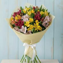 Букет цветов из:  Альстромерии в Прокудском