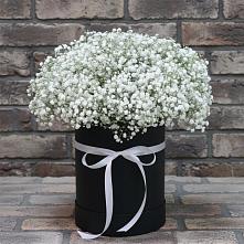 Цветочная композиция из Гипсофила в шляпной коробке в Прокудском