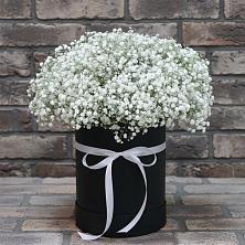 Цветочная композиция из Гипсофила в шляпной коробке в Прокудском