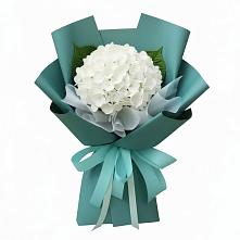 Букет цветов из:  Гортензия в Прокудском